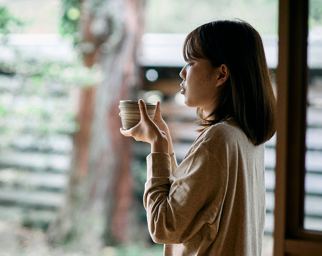 有機梅干番茶スティック20袋